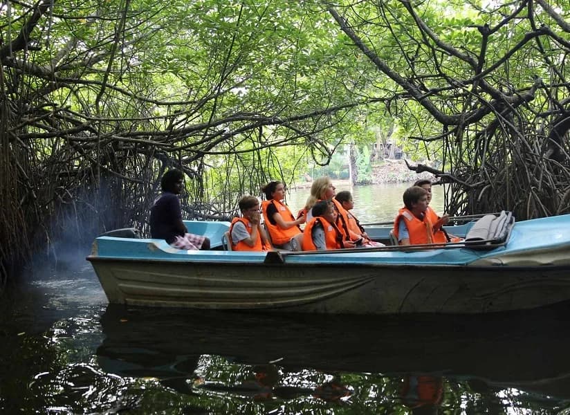Chelsea Tours Sri Lanka travel photo 15