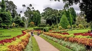 Chelsea Tours Sri Lanka travel photo 16