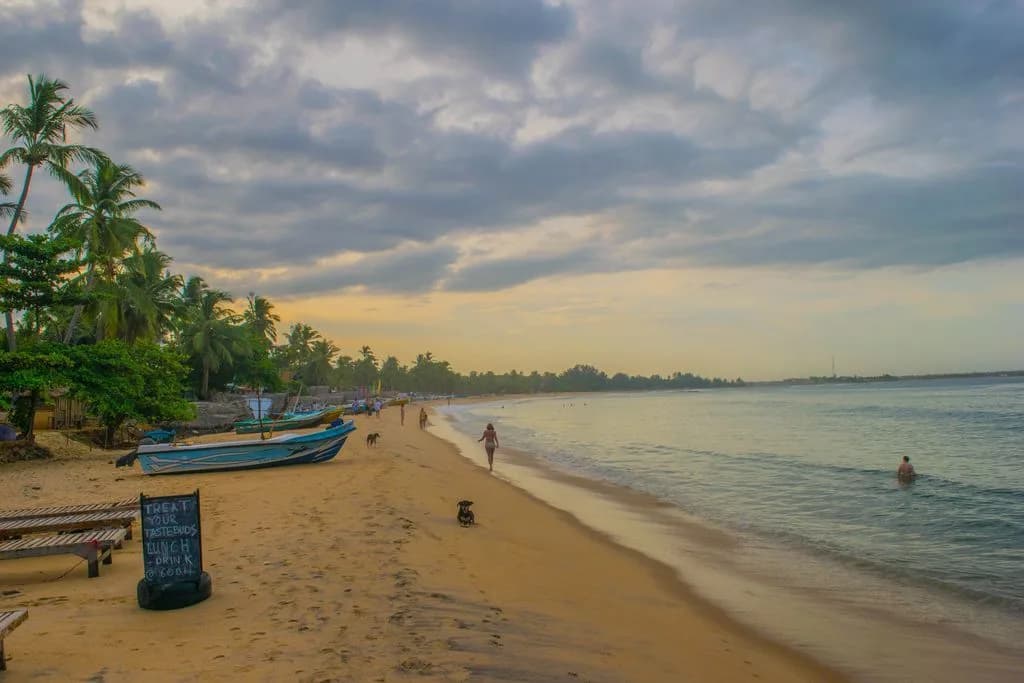 Chelsea Tours Sri Lanka travel photo 2