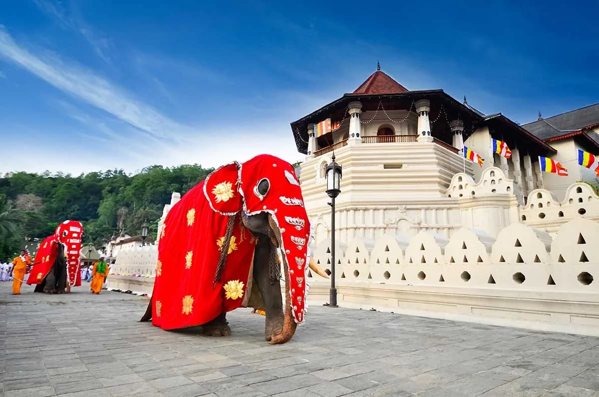 Chelsea Tours Sri Lanka travel photo 20